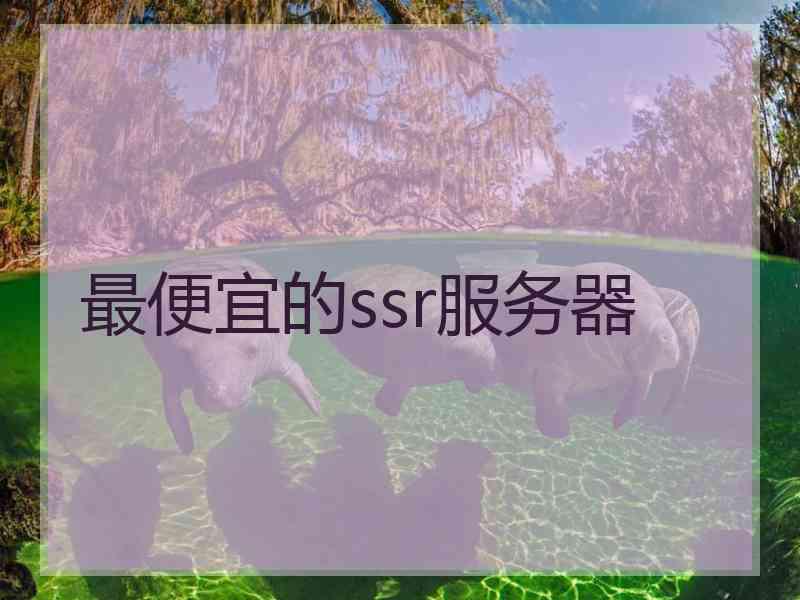 最便宜的ssr服务器