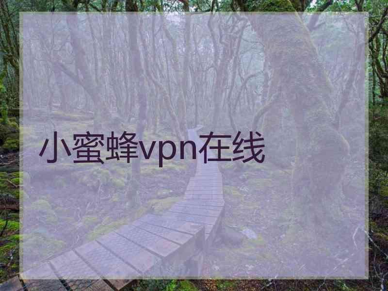 小蜜蜂vpn在线