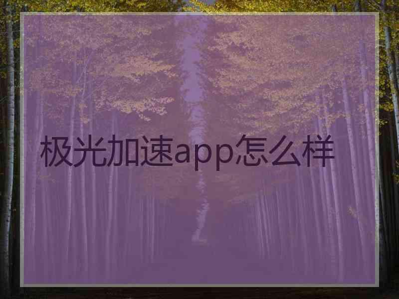 极光加速app怎么样
