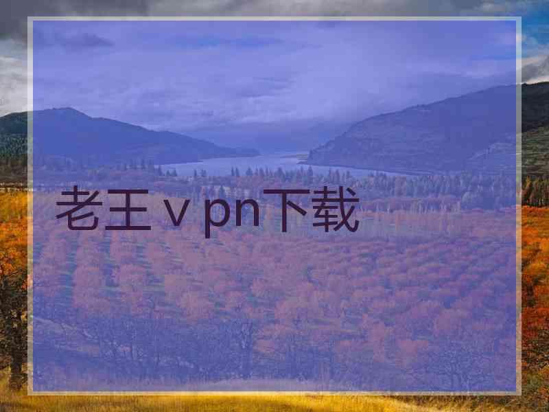 老王ⅴpn下载