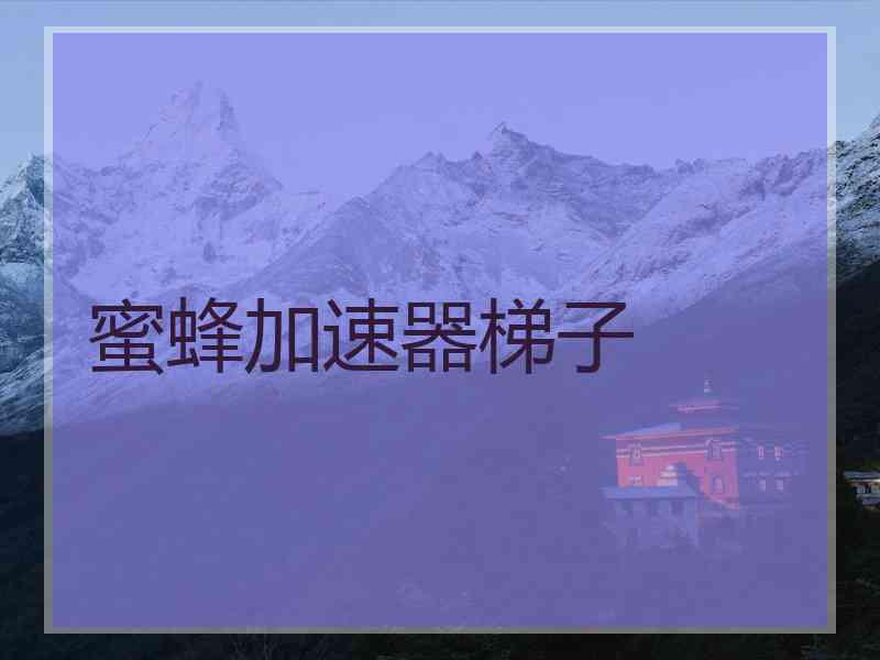 蜜蜂加速器梯子