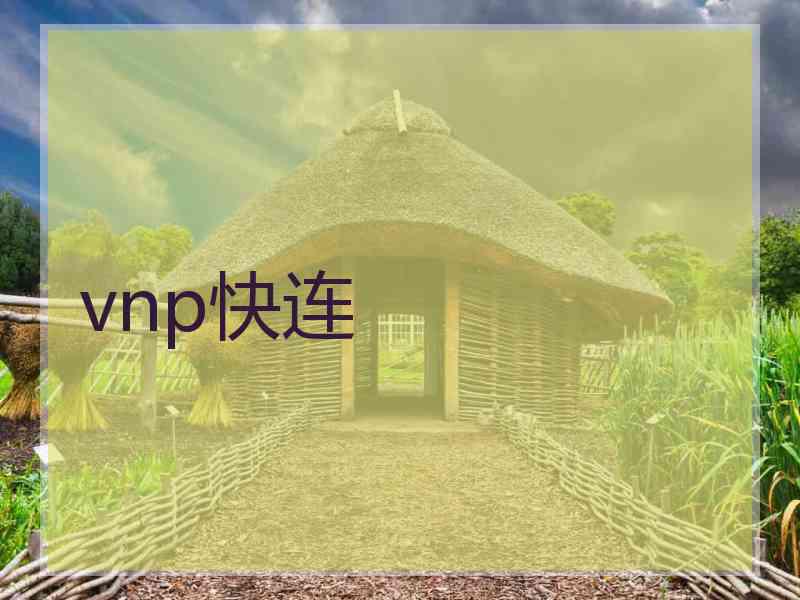vnp快连