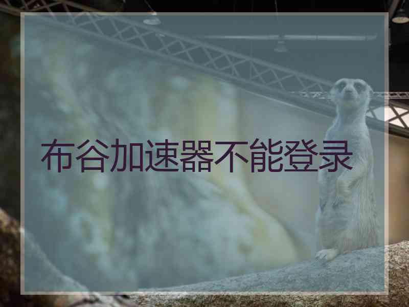 布谷加速器不能登录