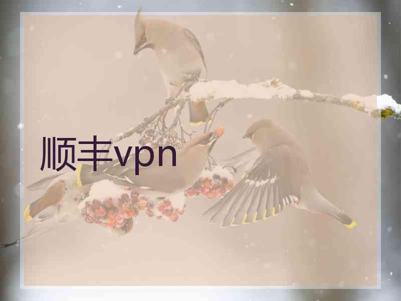 顺丰vpn