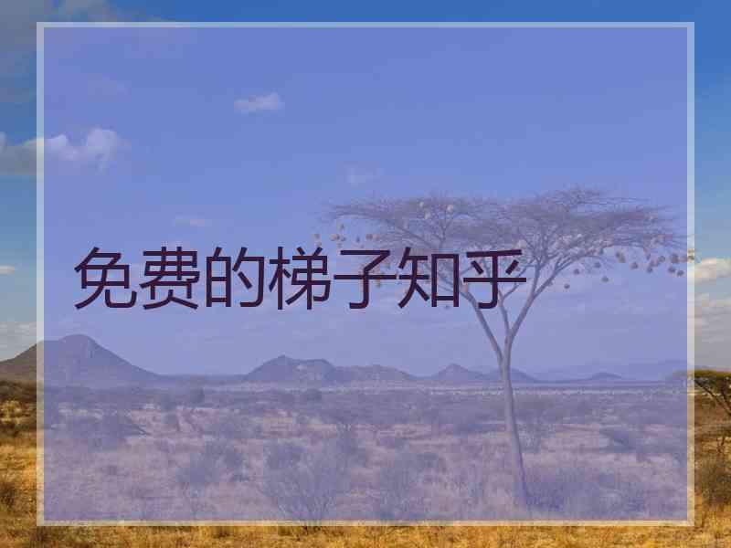 免费的梯子知乎