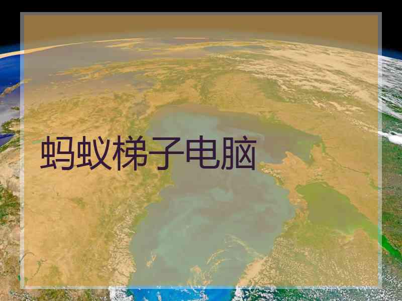 蚂蚁梯子电脑