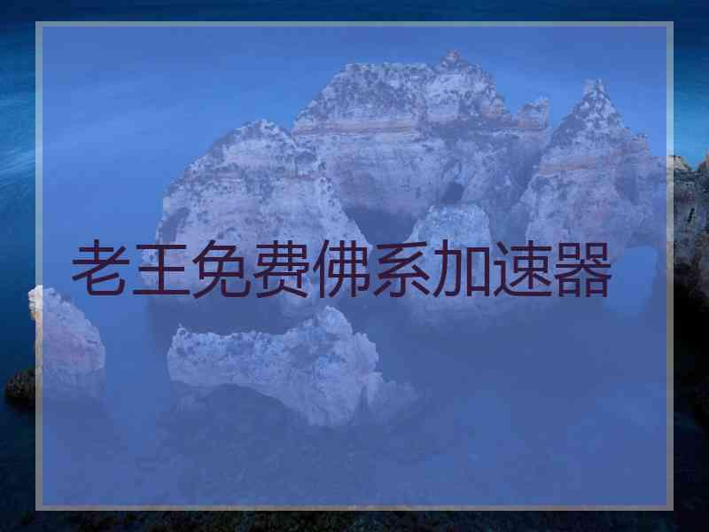 老王免费佛系加速器