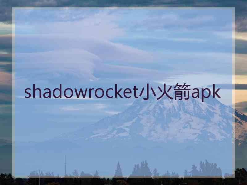 shadowrocket小火箭apk