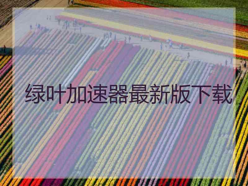 绿叶加速器最新版下载