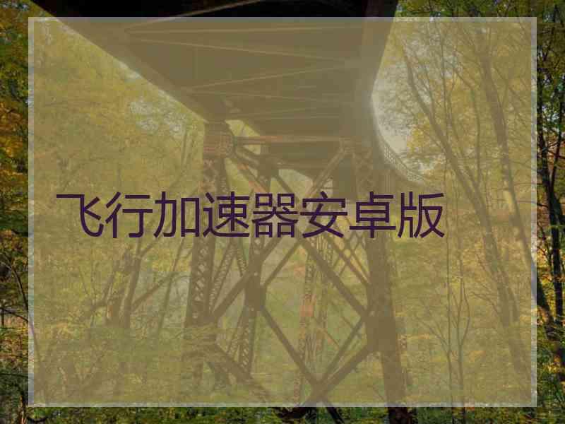 飞行加速器安卓版