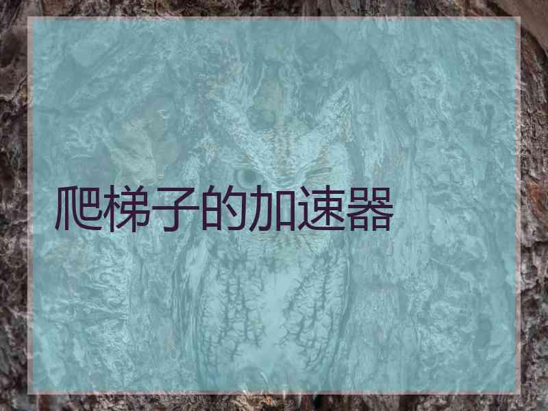 爬梯子的加速器