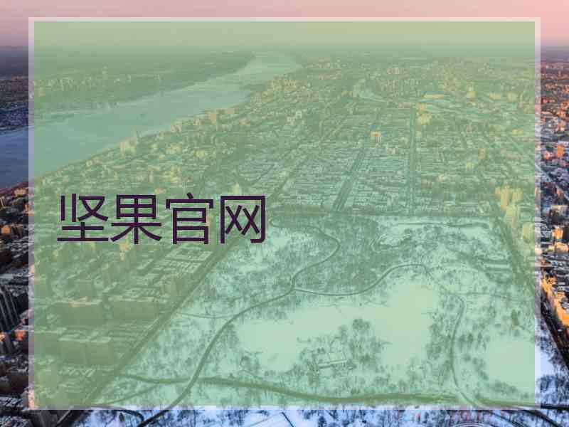 坚果官网