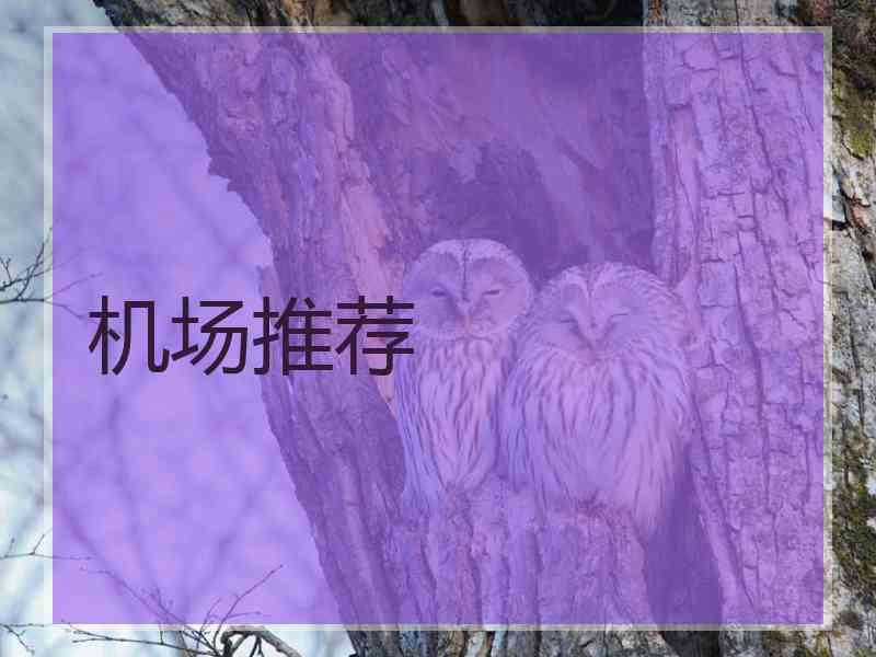 机场推荐