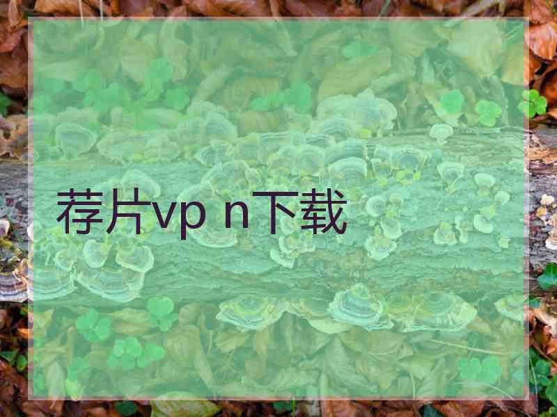 荐片vp n下载