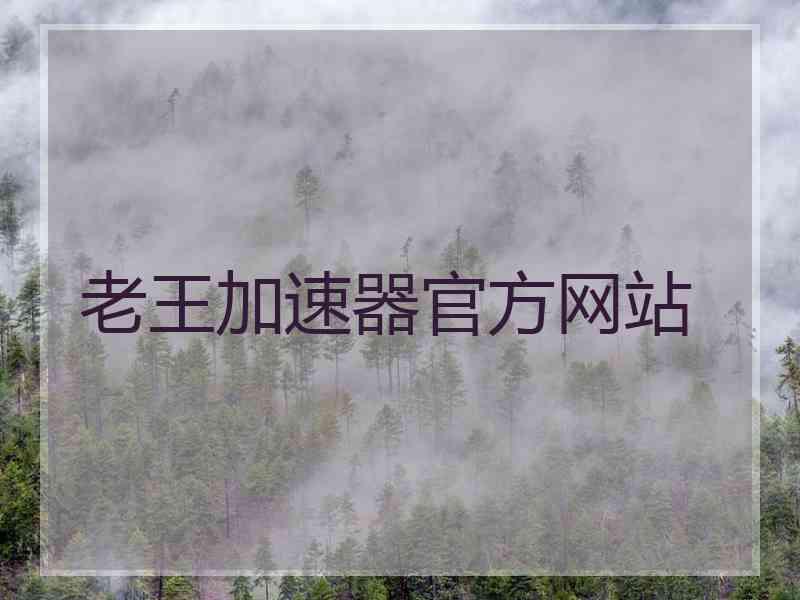 老王加速器官方网站