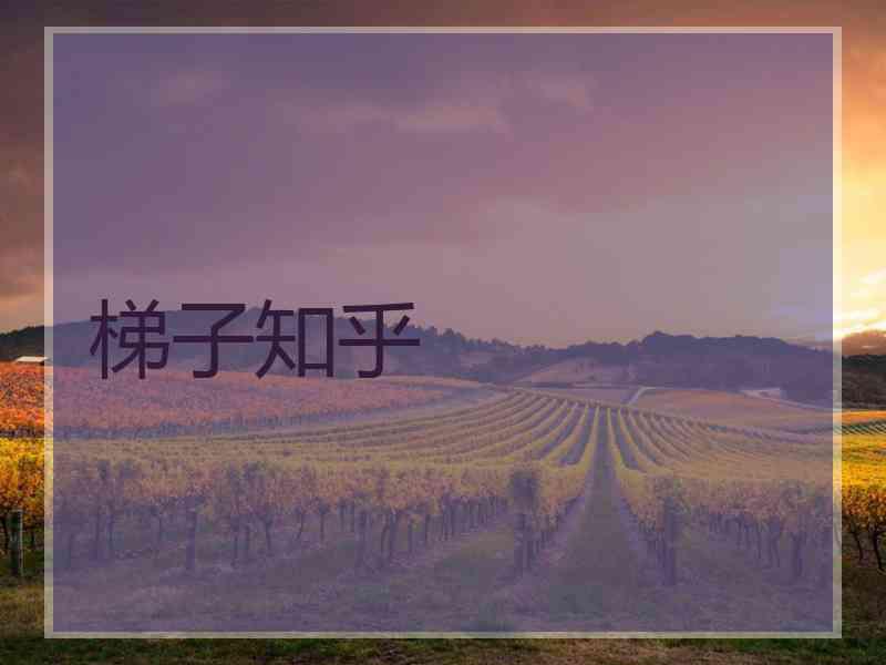 梯子知乎