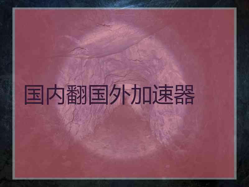 国内翻国外加速器