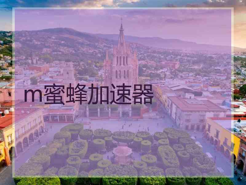 m蜜蜂加速器