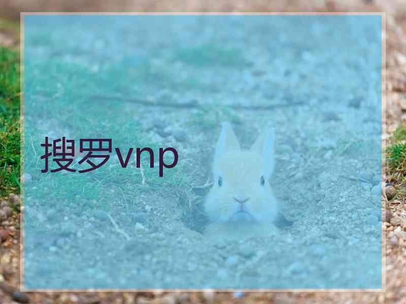 搜罗vnp