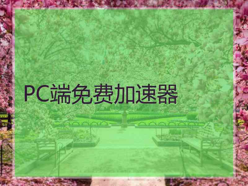 PC端免费加速器