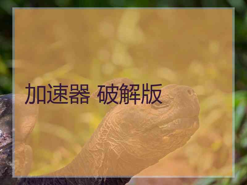加速器 破解版