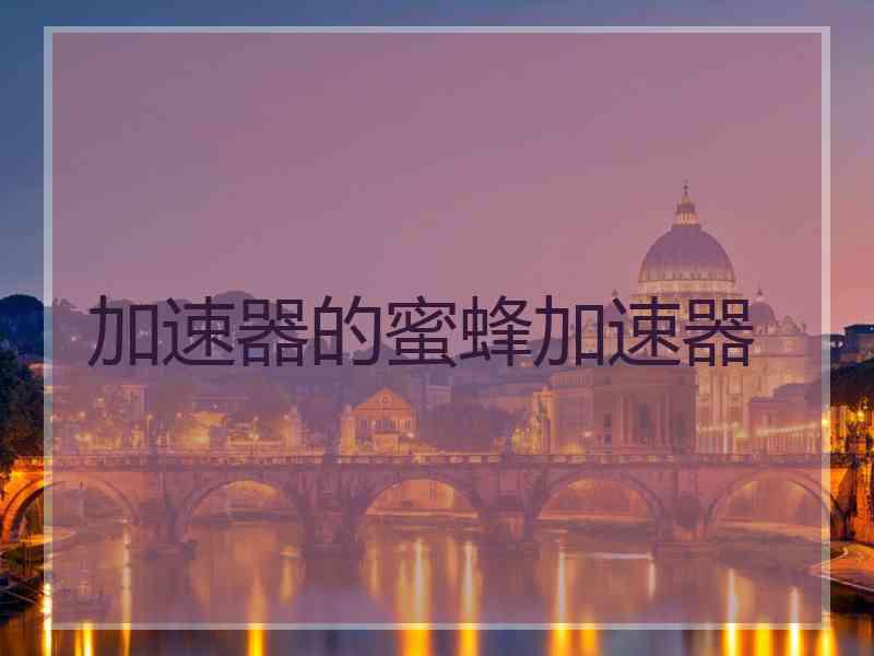 加速器的蜜蜂加速器