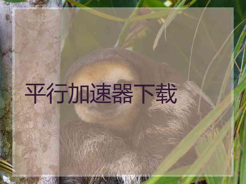 平行加速器下载