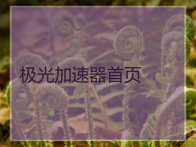 极光加速器首页