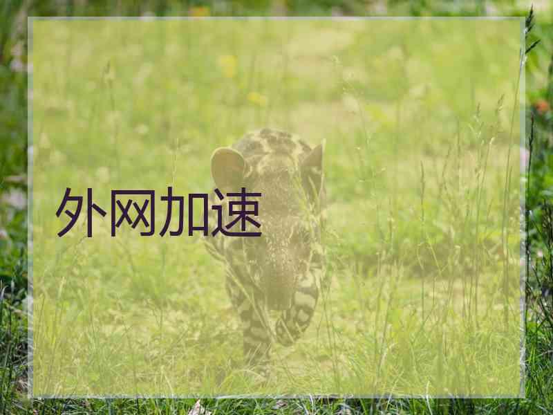 外网加速