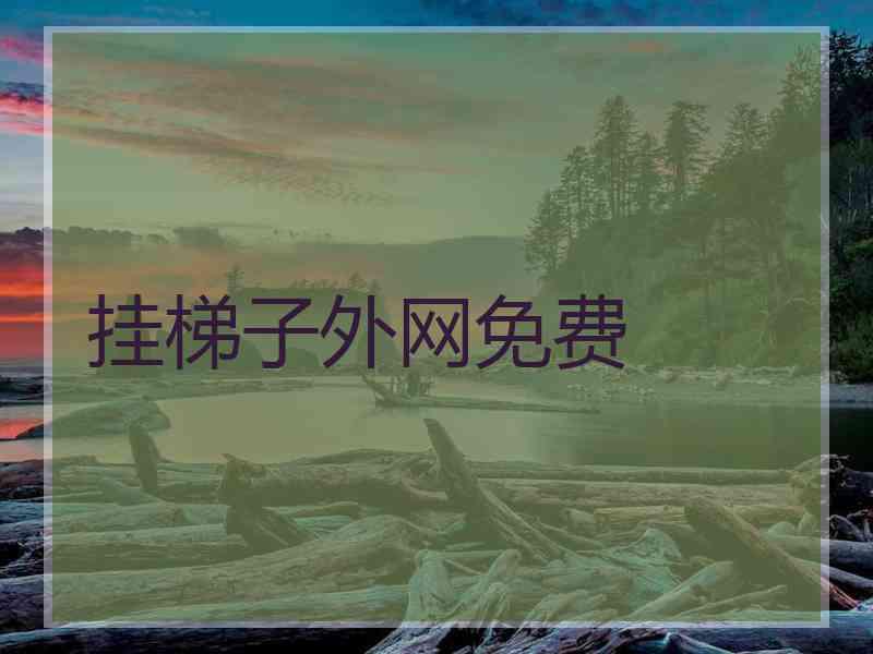 挂梯子外网免费