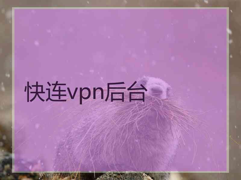 快连vpn后台
