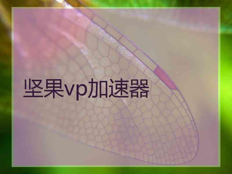 坚果vp加速器