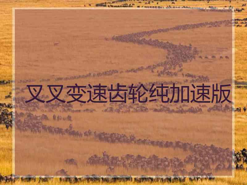 叉叉变速齿轮纯加速版