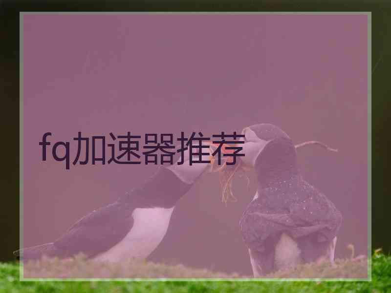 fq加速器推荐