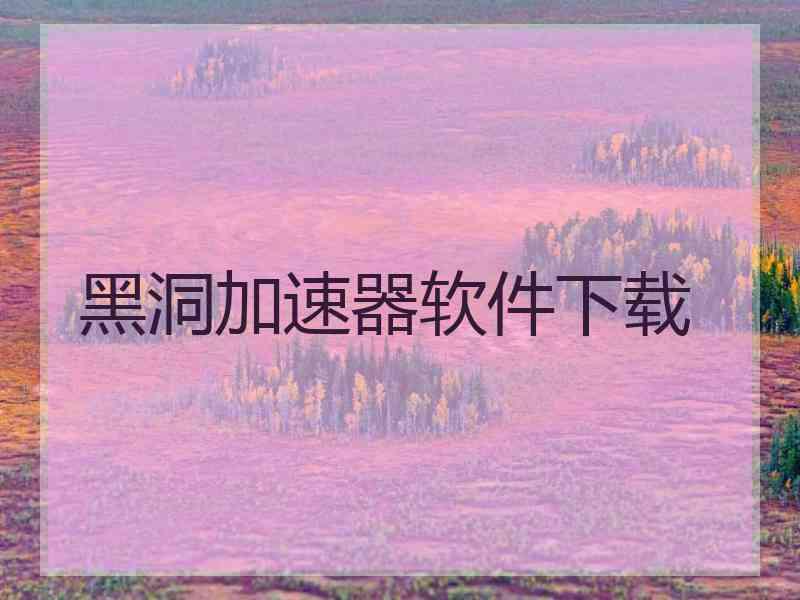 黑洞加速器软件下载