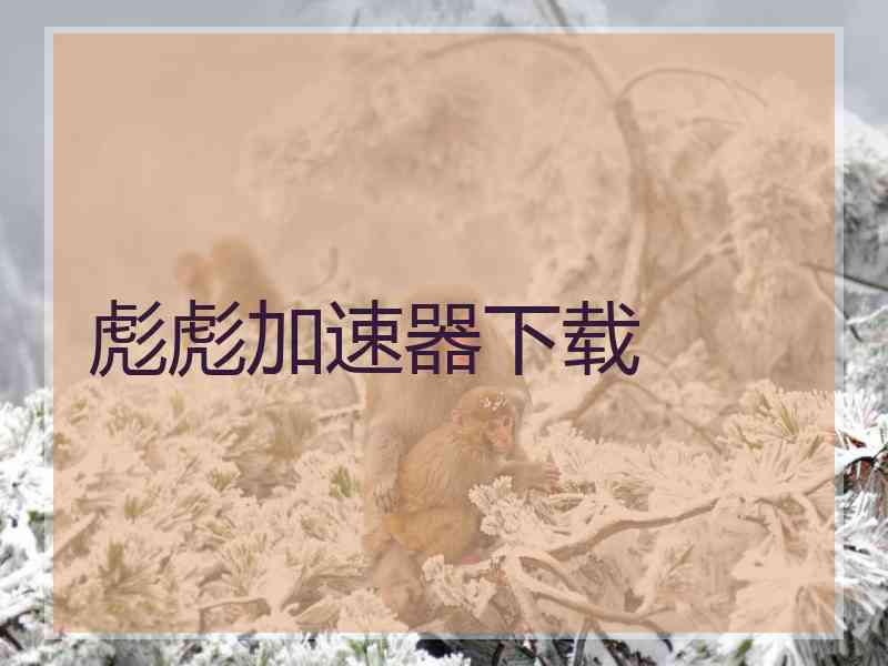 彪彪加速器下载