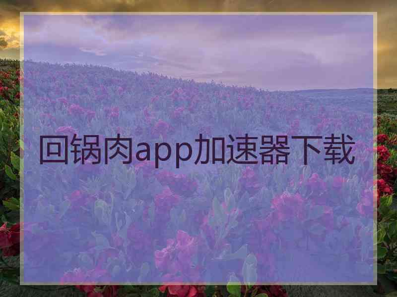 回锅肉app加速器下载