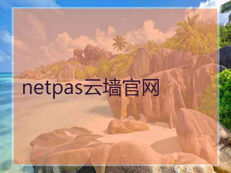 netpas云墙官网