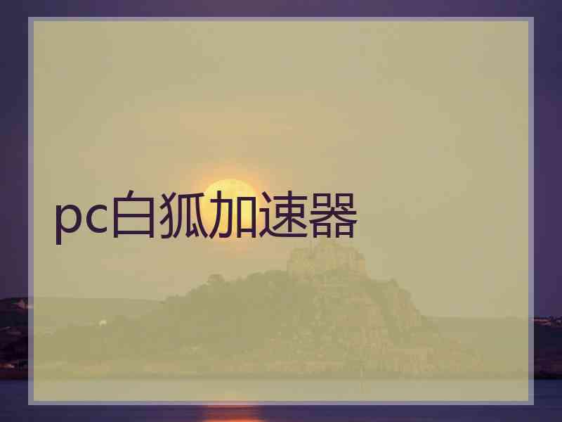 pc白狐加速器