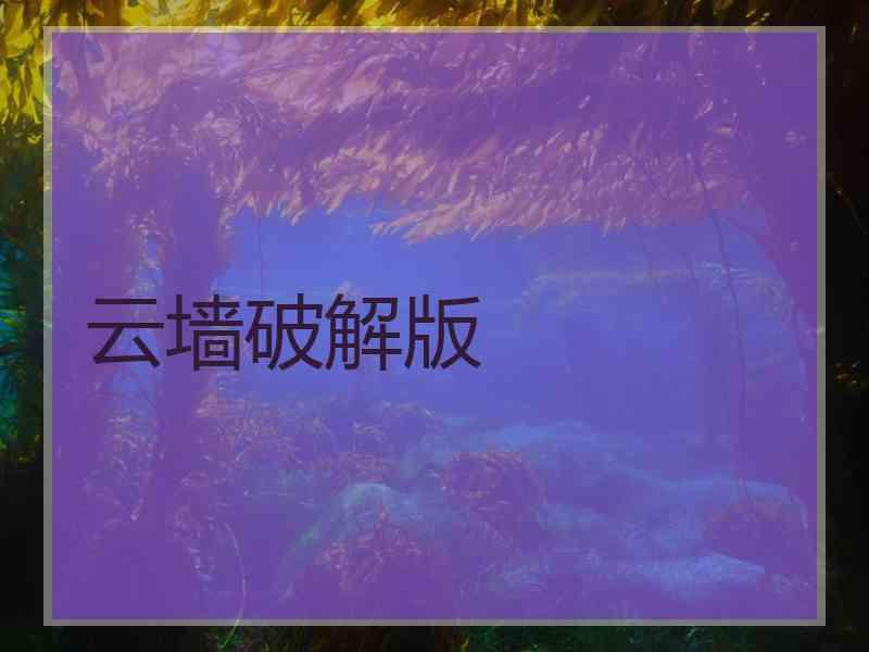 云墙破解版
