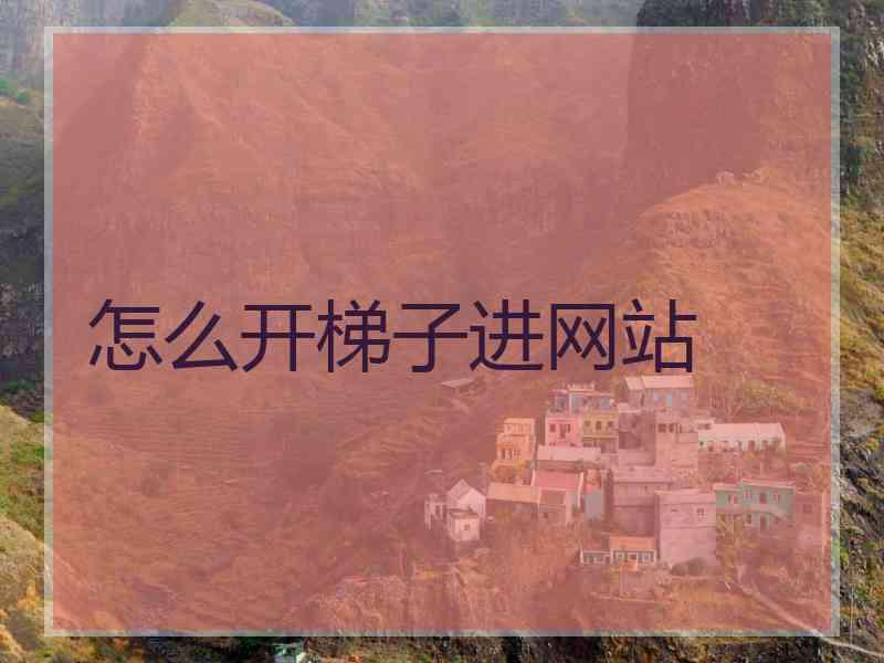怎么开梯子进网站