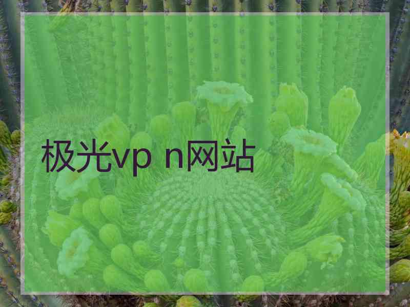 极光vp n网站