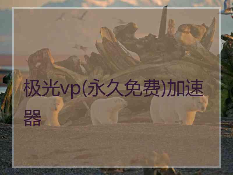 极光vp(永久免费)加速器
