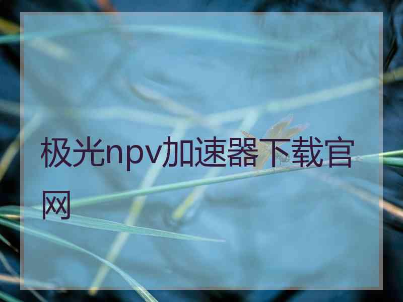 极光npv加速器下载官网