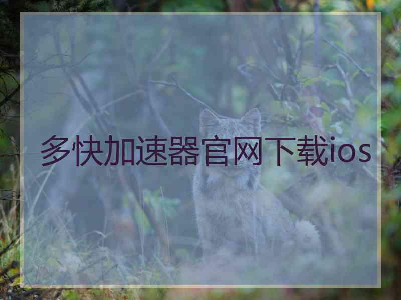 多快加速器官网下载ios