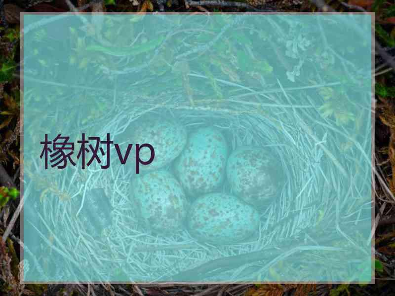 橡树vp