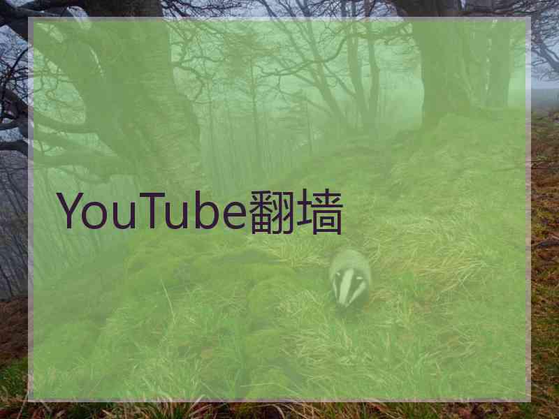 YouTube翻墙