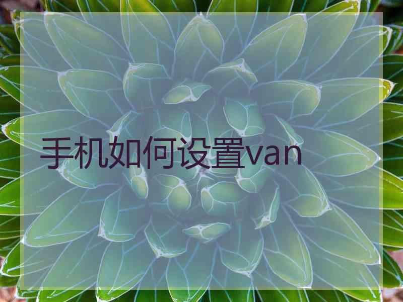 手机如何设置van