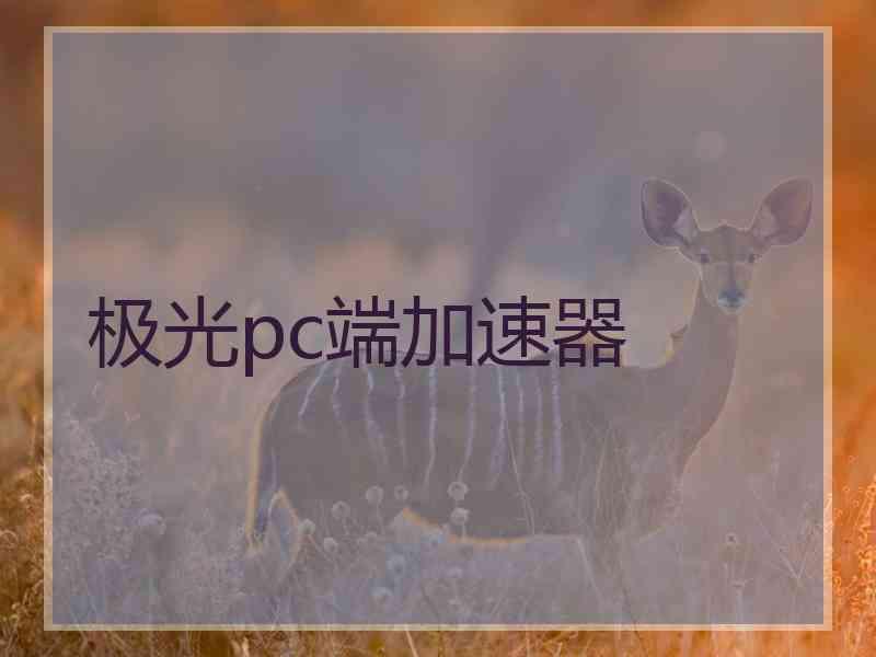 极光pc端加速器