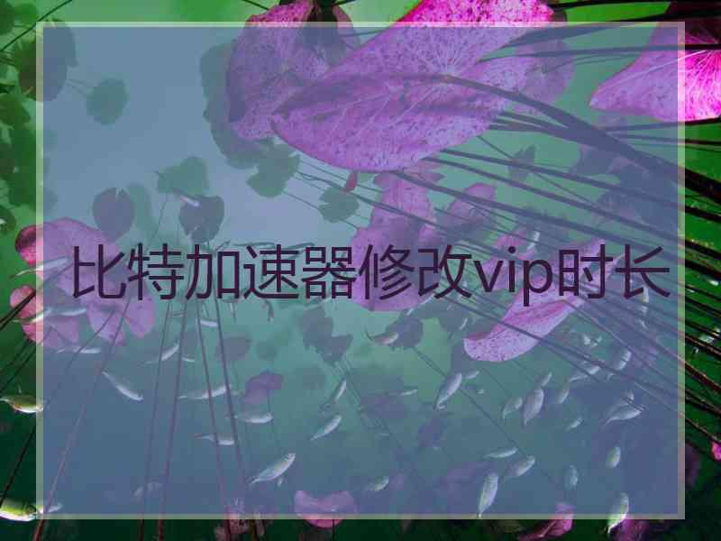 比特加速器修改vip时长